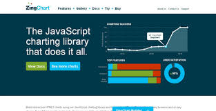 Best Javascript Data Visualization Libraries For Developers
