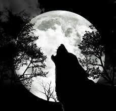 Wolf Howling Black And White Drawing Best 25 Howling Wolf Tattoo Wolf And Moon Tattoo Wolf Tattoos Moon Tattoo