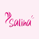 Logo SALIHA