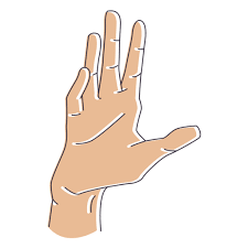Hand Palm Gesture Illustration Ad Affiliate Affiliate Palm Gesture Illustration Hand Hand Palm Illustration Graphic Image
