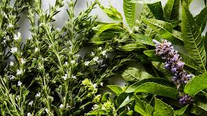 13 Fresh Herbs And How To Use Them Epicurious
