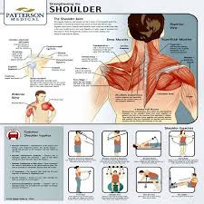 Pin On Physical Therapy Exercises