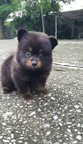 Pin On Cute