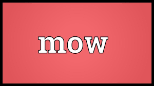 What is the hindi meaning of mosambi? Mow Meaning Youtube