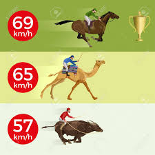 Is a train service run by committee, ms. Galloping Horse Camel Bull Racing Competition Infographic Royalty Free Cliparts Vectors And Stock Illustration Image 87405819
