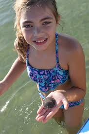 Is it really free to live here?