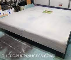 Check spelling or type a new query. Rockwood Pop Up Camper Roof Rebuild Exterior The Pop Up Princess