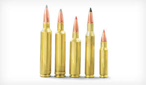 5 Great 270 Rifle Cartridges