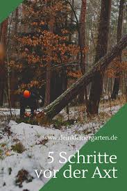 Im Winterhalbjahr Ist Die Beste Zeit Um Den Baum In Deinem Garten Zu Fallen Was Du Daruber Hinaus Noch Beachten Musst Be Baum Fallen Kleiner Garten Baum