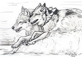 Wolves Running Sketch By Silvercrossfox On Deviantart Animal Drawings Wolves Fighting Wolf Drawing