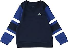 Check spelling or type a new query. Pulls Lacoste Achetez Jusqu A 56 Stylight