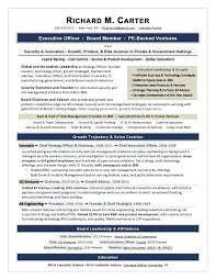 Ceo President And Coo Resume Sample Page 1 Idees Veranda