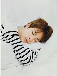 On a recent episode of mbc's video star . An Unconventional Companion Want To See Something Cute Sleepy Jin
