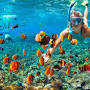 Best snorkeling mykonos from www.adornosuites.com