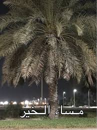 pin by rere on مساء الخير horror movie icons romantic love quotes iconic movies