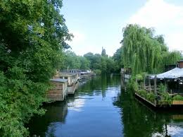 Check spelling or type a new query. Ipse Freischwimmer Manner