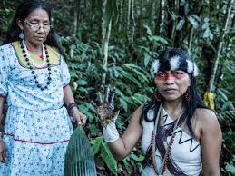 Fires burning across the amazon are threatening the lives of brazil's indigenous peoples. This Is My Message To The Western World Your Civilisation Is Killing Life On Earth Nemonte Nenquimo The Guardian