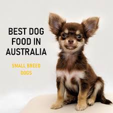 As we continue to push for better regulation in the australian pet food industry it can be hard to trust many pet food brands. Best Dog Food Australia 2021 Buyer S Guide