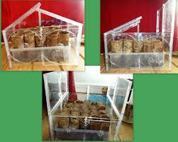 Center a cd at the top of a sheet of paper, as shown in the image above. Cd Case Mini Greenhouse A Greenhouse Home Diy On Cut Out Keep
