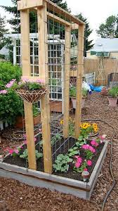 What types of garden trellises are out there? Would Love To See Vertical Gardening Forum Gardenweb Diy Garden Trellis Easy Garden Garden