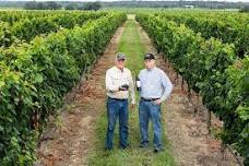 Tallent Vineyards Portfolio Tasting