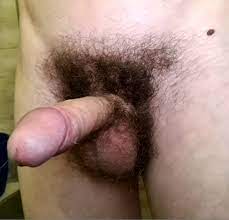 Behaarter Penis