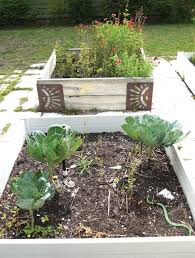 Our gardens can be planted with colorful tropical flowers or they can be a calm green. It Ain T Easy Being Green The Challenge Of Gardening In Florida Naples Florida Weekly