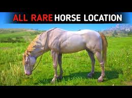 All 19 Red Dead Redemption 2 Horses, Ranked From Worst To Best