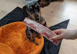 Which Bones Is Your Dog Allowed To Eat