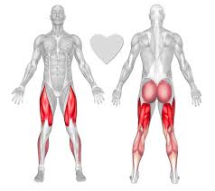 Located immediately below the skin) muscles of the body. Legs Exercises Workouts Freetrainers Com