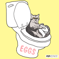 Nov 24, 2020 · the perfect pop cat animated gif for your conversation. Persian Cat Gifs Get The Best Gif On Gifer