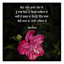Pin By Raminder On Punjabi K Punjabi Quotes Plants Qoutes