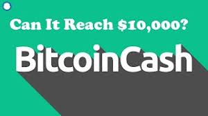 Will bitcoin cash hit 1 000 usd in a year? Bitcoin Cash On Paypal Can It Reach 10 000 In 2021 Youtube