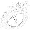The eye color is determined by a dragon's element, any element has a chance to pass down to the offspring (or result in a new element if breeding a certain two together). 1