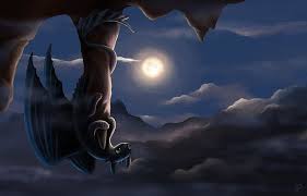 Night Fury Hd Wallpapers Free Download Wallpaperbetter 1920x1229 dragon sun views game art snow night fury how to train your dragon. night fury hd wallpapers free download