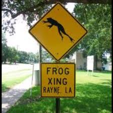 Rayne La Louisiana Homes New Orleans Louisiana Louisianna