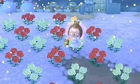 There are a few new breeds that haven't cropped up in animal crossing. Animal Crossing Qr Designs Flower Breeding Tips Flower Breeding Works Best