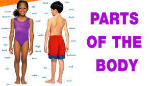 Body part names, leg parts, head parts, face parts names, arm body parts, parts of full hand. Speak Tamil Through English Spoken Tamil Lesson 19 Body Parts Youtube