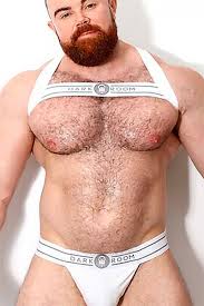 PJ Knox Gay Porn Star Database At WAYBIG 18400 | Hot Sex Picture