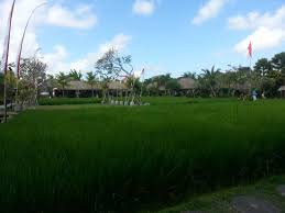 Di bahagian atas, terdapat sebuah dek untuk anda berehat. Pemandangan Saat Makan Photo De Bebek Tepi Sawah Ubud Tripadvisor