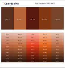 As adjectives the difference between brown and mahogany is that brown is having a brown colour while mahogany is made of mahogany. Irish Coffee Brown Rust Cioccolato Korma Nutmeg Color Scheme Icolorpalette