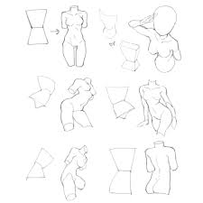 Santiago Astor Illustration On Instagram Female Torso Studies By The Amazing People O Body Reference Drawing Body Drawing Tutorial Manga Drawing Tutorials For the torso we will of course need the vertebrae, ribcage and pelvis. pinterest