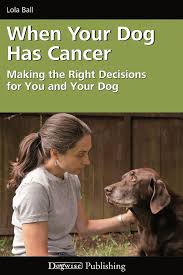 Changes in weight, appetite and energy levels are all potential signs of colon cancer in your dog. When Your Dog Has Cancer A Resource For You Cold Nose College