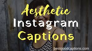 View and download images/videos about #senioritis all instagram™ logos and trademarks displayed on this applicatioin are property of instagram. Cure Selfie Quotes Tumblr 100 Aesthetic Instagram Captions For Selfies Stylish Bios Quotes Dogtrainingobedienceschool Com