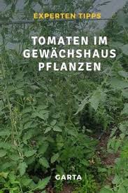 Tomaten können schon ab april gepflanzt werden, aber dann nur mit frostschutz, zum beispiel im folientunnel. 26 Tomaten Tipps Ideen Tomaten Tipps Gruner Rasen