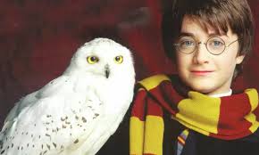 11 Orte, an denen Hamburg wie bei Harry Potter aussieht