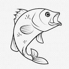Drawing Fish 3 2020 X 2020 Webcomicms Net Fish Sketch Image Of Fish Fish Drawings