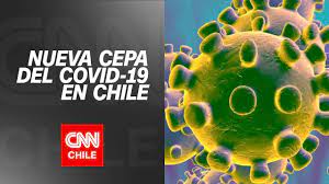 La nueva cepa de coronavirus , descubierta en reino unido gracias a la secuenciación genética el mismo instituto de salud carlos iii detectó en españa 62 variantes de la covid en los primeros tres. Covid 19 Nueva Cepa Del Coronavirus Llego A Chile Youtube