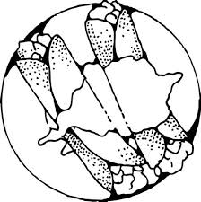 And you can freely use images for your personal blog! Meat Coloring Pages Learny Kids