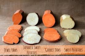 Yams And Sweet Potatoes Is There A Difference Sweet Potato Nutrition Japanese Sweet Potato Yams Vs Sweet Potatoes